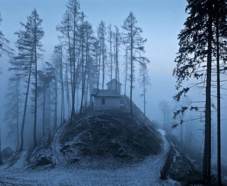 будиночок в лісі, снігові пейзажі