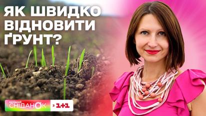 Як швидко відновити ґрунт у вашому саду чи на городі: поради від садової блогерки Антоніни Лесик