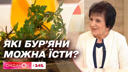 Їстівні бур'яни: чим вони корисні та які саме варто додавати у свій раціон