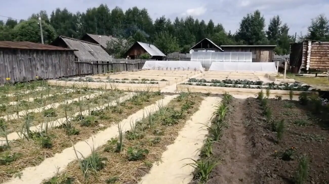 Садівники поділилися ідеями, з чого зробити садові доріжки Садівники поділилися ідеями, з чого зробити садові доріжки