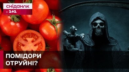 Шокуюче дослідження! Чи дійсно помідори отруйні для людини?