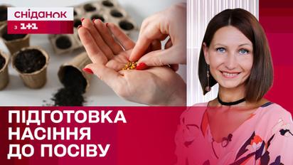 Секрет рясного врожаю! Як правильно підготувати насіння до посіву – Антоніна Лесик