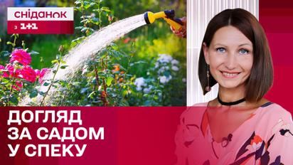 Рятуємо рослини у спеку! Як доглядати за садом влітку? – Поради Антоніни Лесик