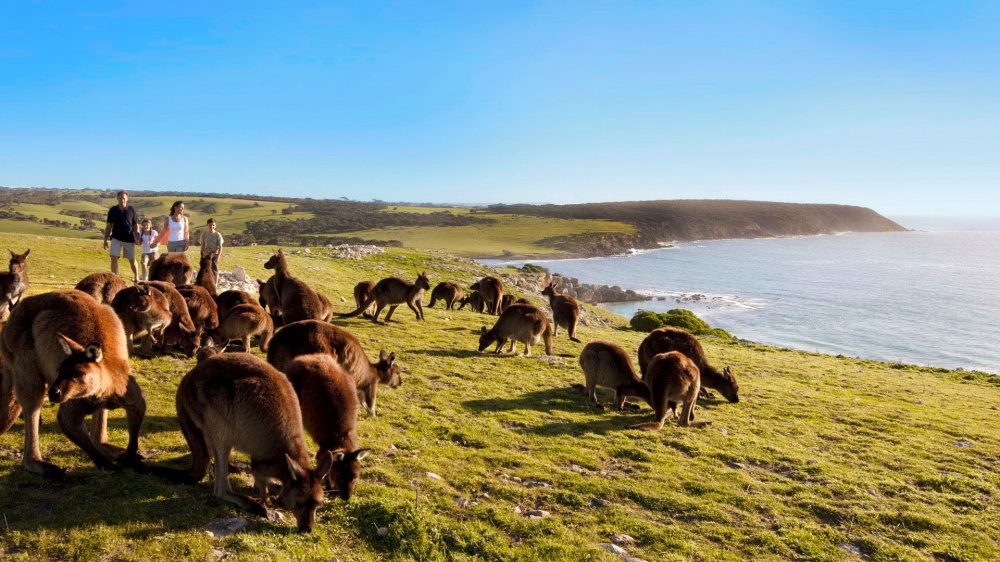 australiamyhome