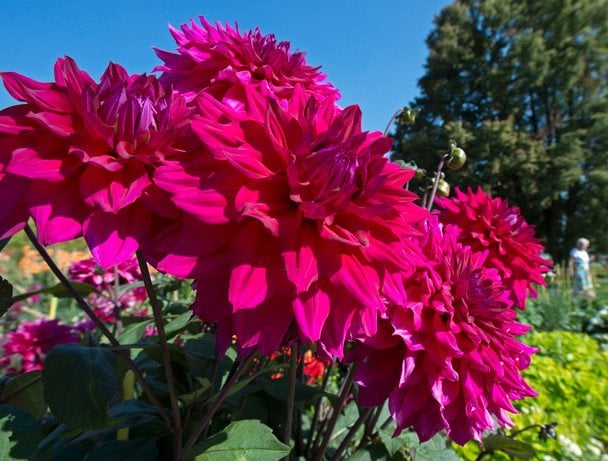  / © Associated Press