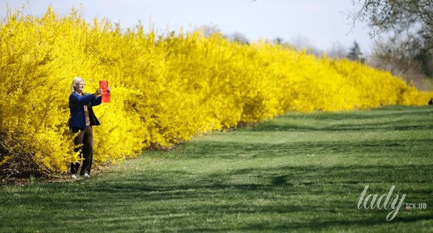 Форзиція / © Associated Press