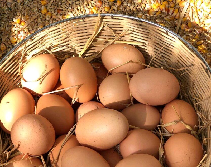 Господині розповіли, для чого протирати яйця олією: причина вражає