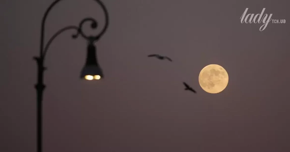 Місячний гороскоп: що можна і чого не можна робити 21 листопада