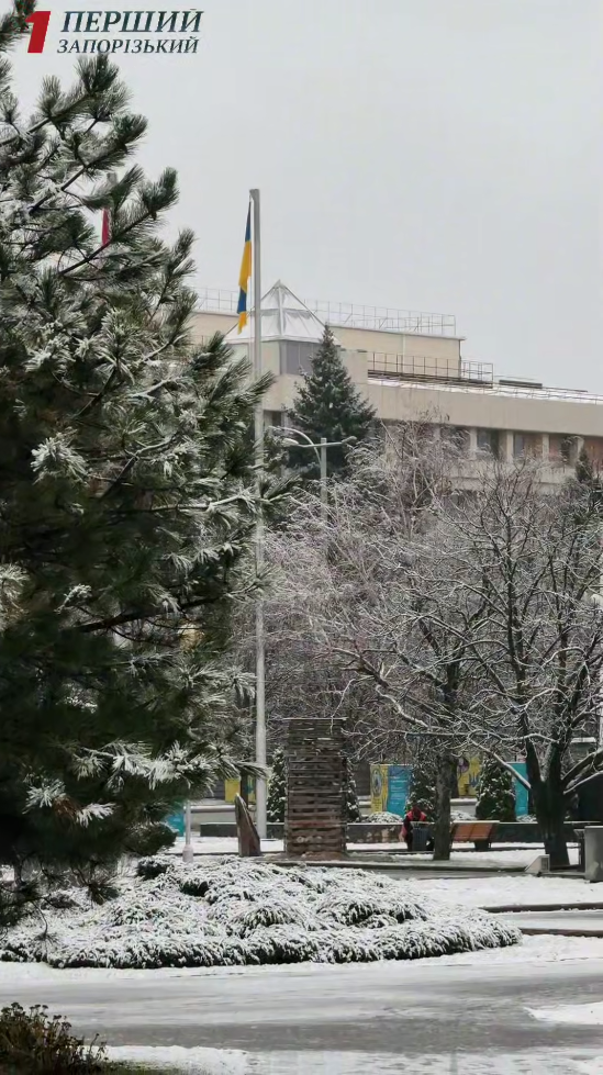 В Україні знову засніжило: де сьогодні побіліли вулиці (фото, відео)