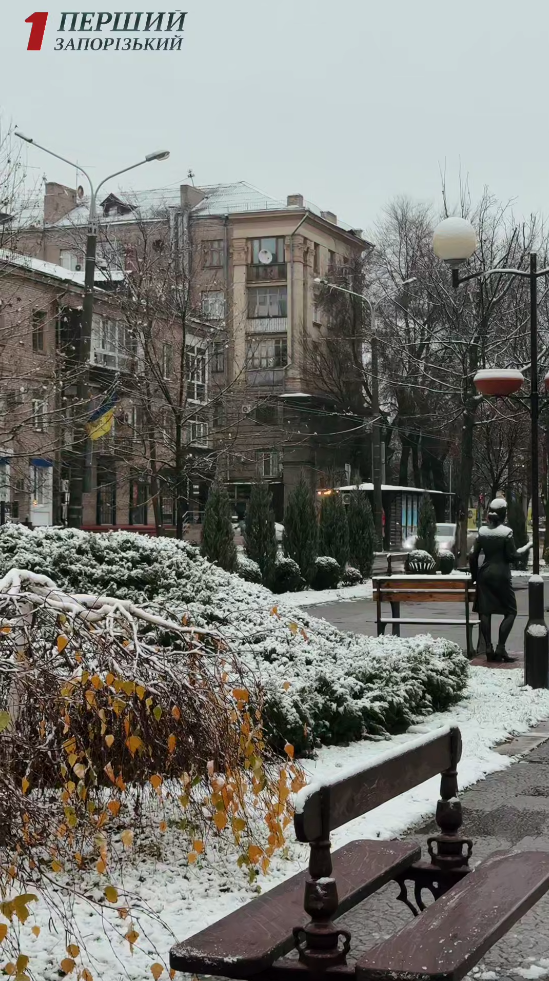 В Україні знову засніжило: де сьогодні побіліли вулиці (фото, відео)