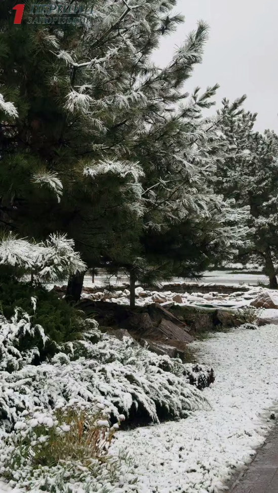 В Україні знову засніжило: де сьогодні побіліли вулиці (фото, відео)