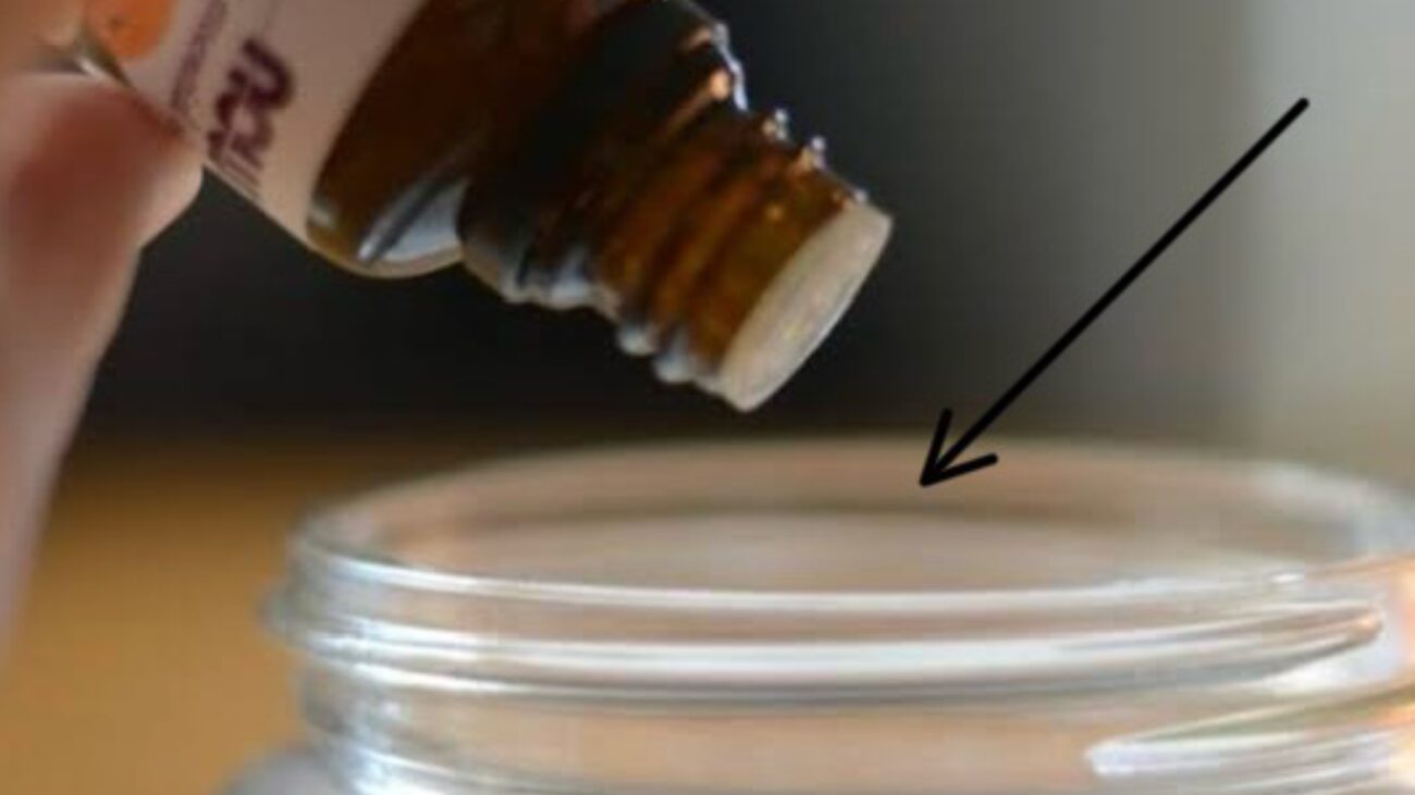 Господині розповіли, як зробити бюджетний освіжувач повітря своїми руками 