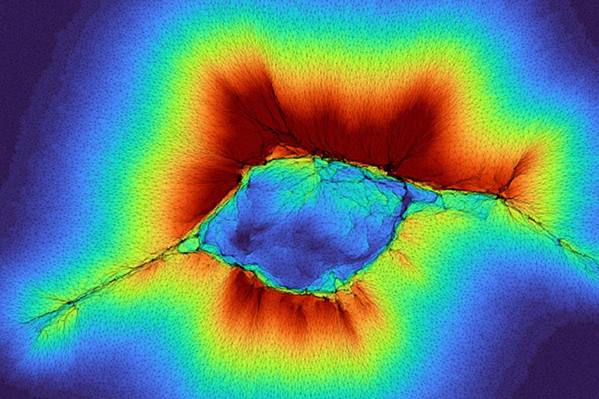 Дослідження: колективне відчуття клітин може зупинити поширення пухлин