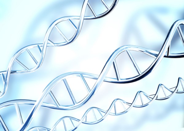 Дослідники оприлюднили 4D-схему геному людини