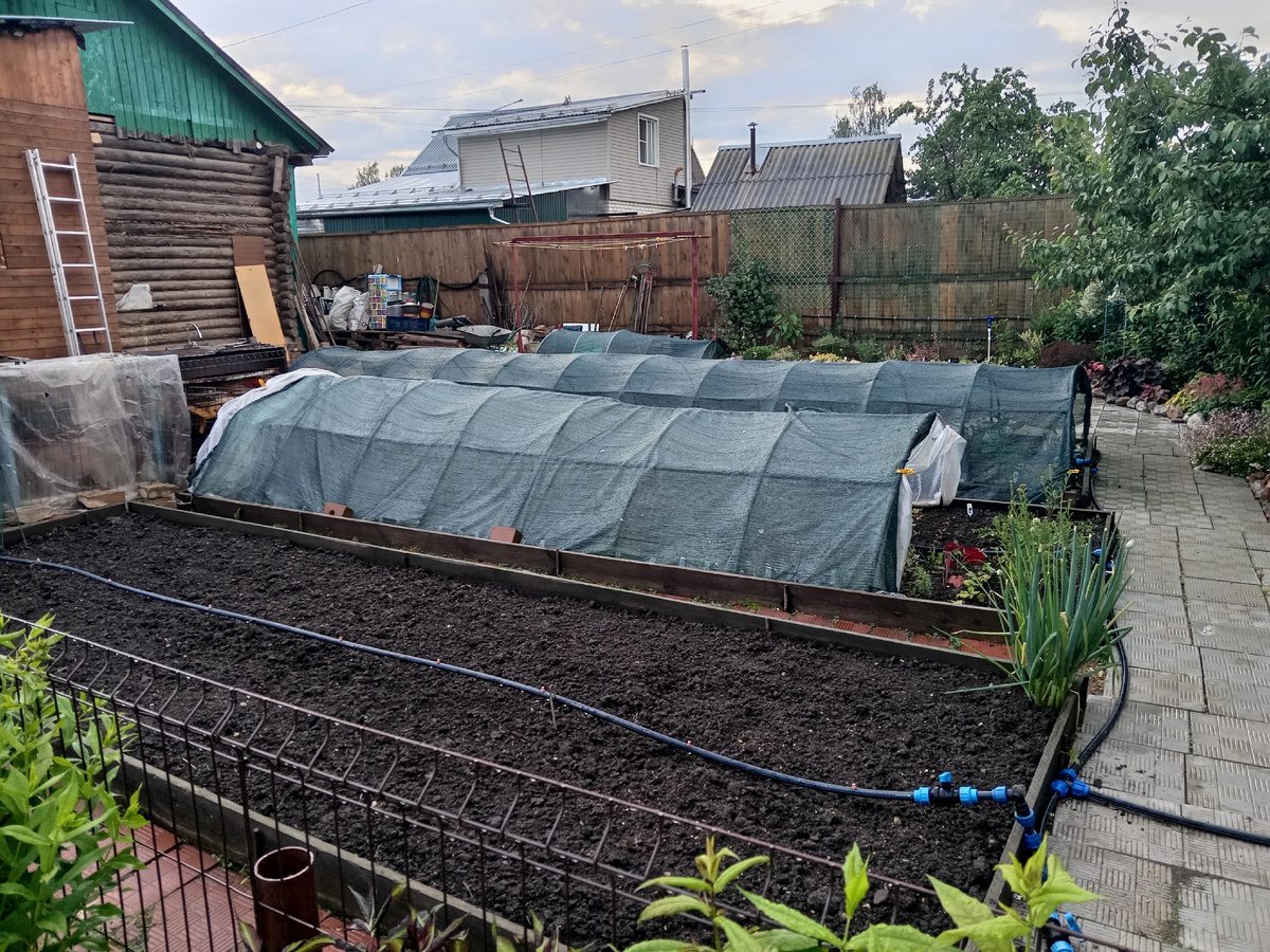 Експерти розповіли про правильну організацію грядок на городі, аби вони залишались вологими