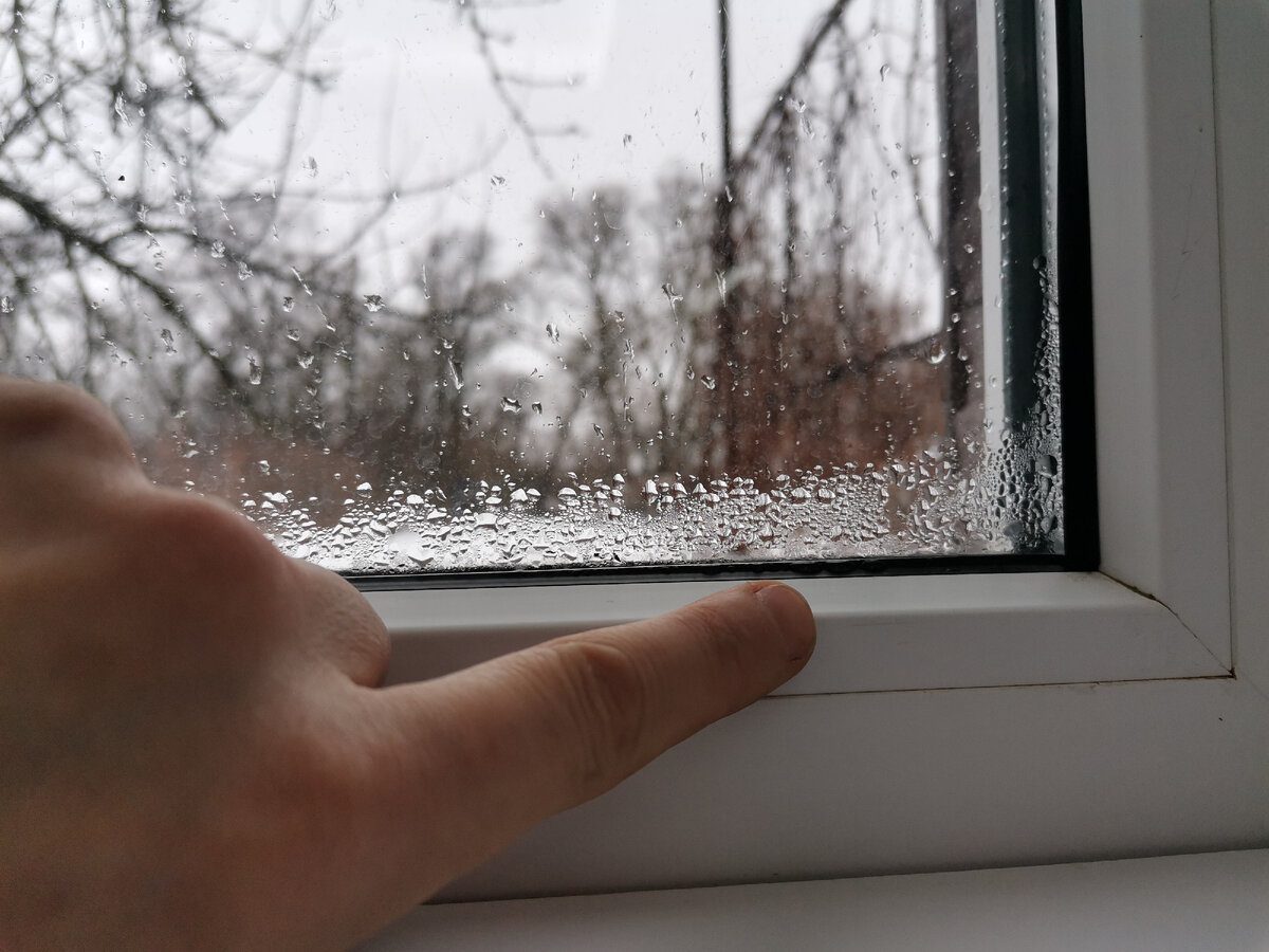 Експерти розповіли, як позбутись від конденсату на вікнах за допомогою простого способу