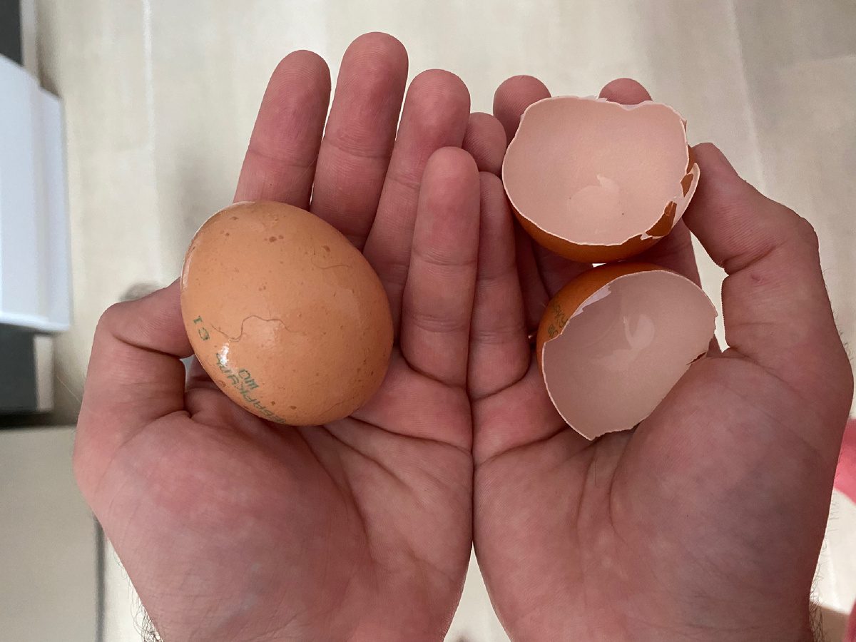 Експерти порадили, як правильно використовувати яєчну шкаралупу з користю для свого городу