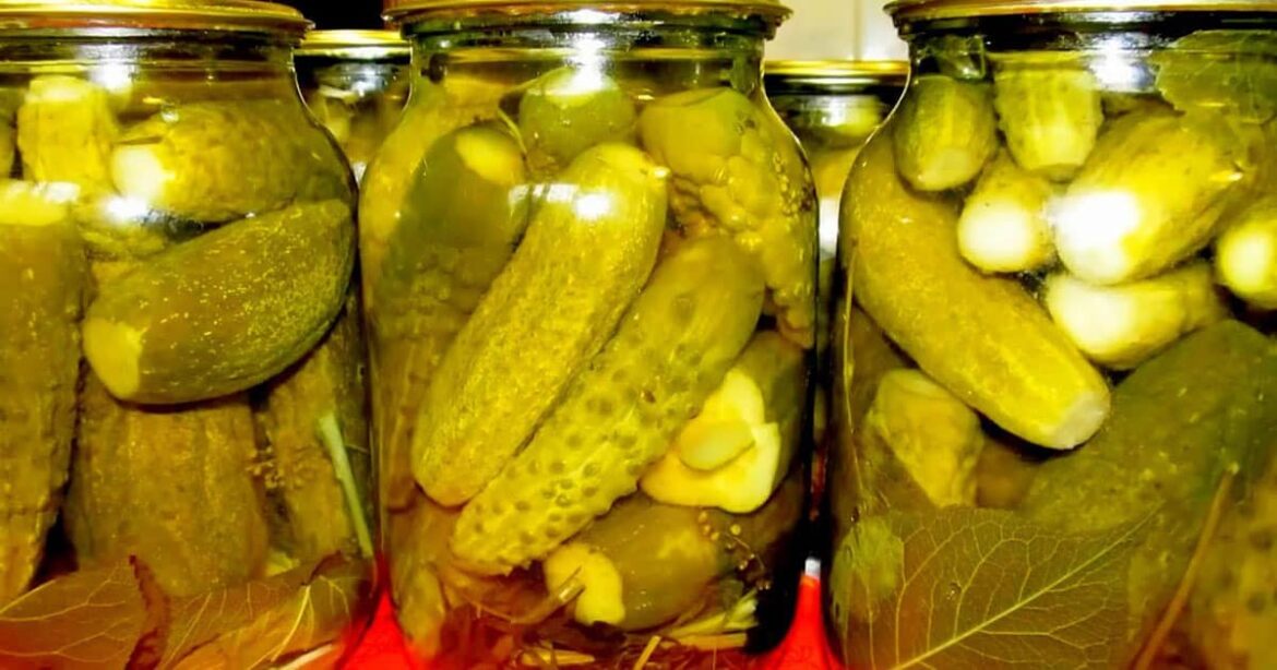 Цей рецепт ховають навіть від рідних! Огірки «Легенда» – кращі за всі, які пробувала