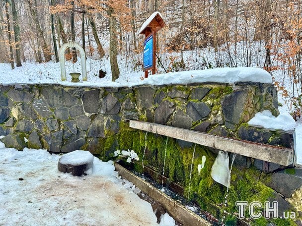  / © Аліна Онопа, ТСН.ua