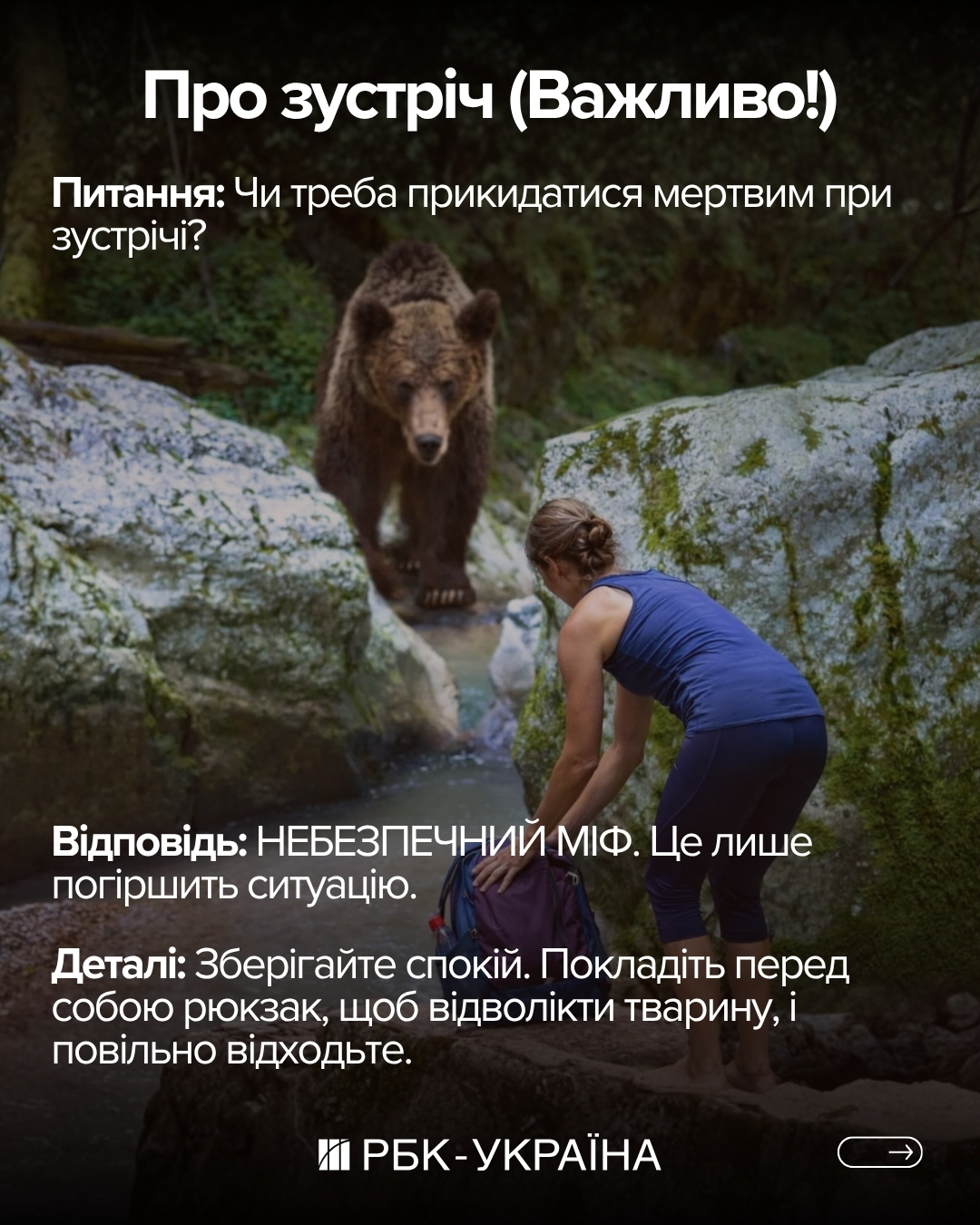 Правда чи міф: 10 фактів про ведмедів, у які ми вірили з дитинства