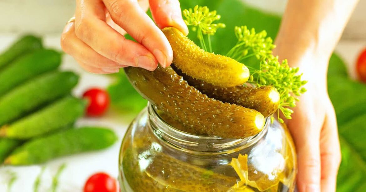 Моя «квашена» гордість! Рецепт огірків «1997 року», який досі є найкращим