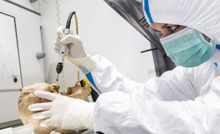 У X-хромосомі людини майже немає ДНК неандертальців