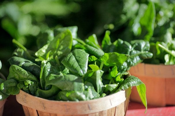 Шпинат / © Associated Press