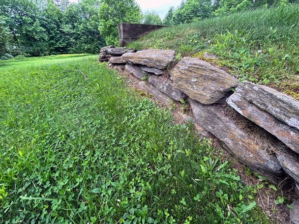 Газон / © Associated Press