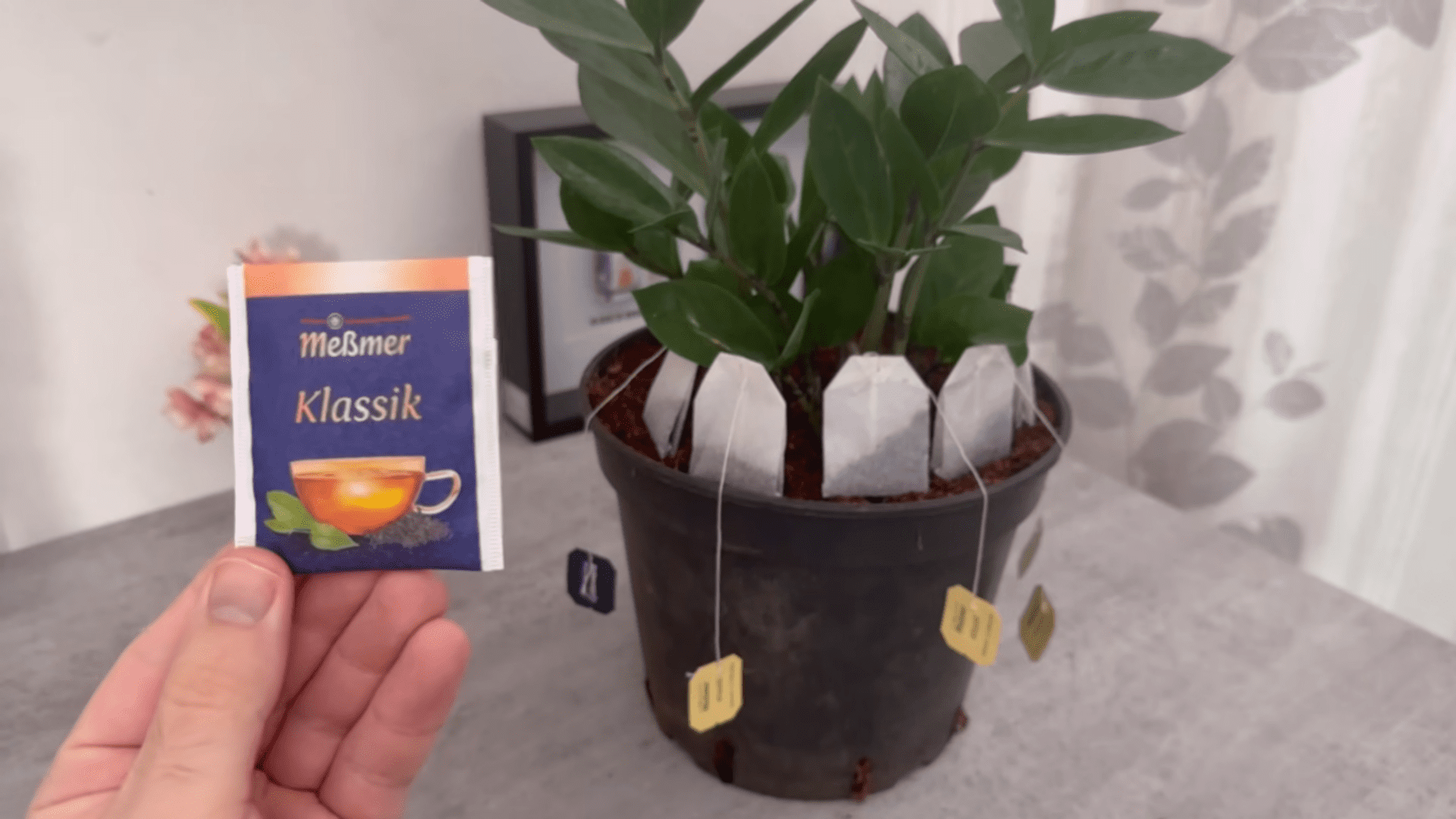 Садівники розповіли, як використати на грядках чайні пакетики. Фото: YouTube/Smart Fox