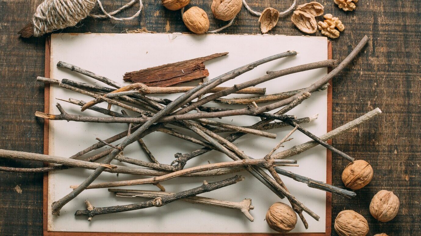 Городники розповіли, як сухі гілки використати з користю на дачі Фото: YouTube