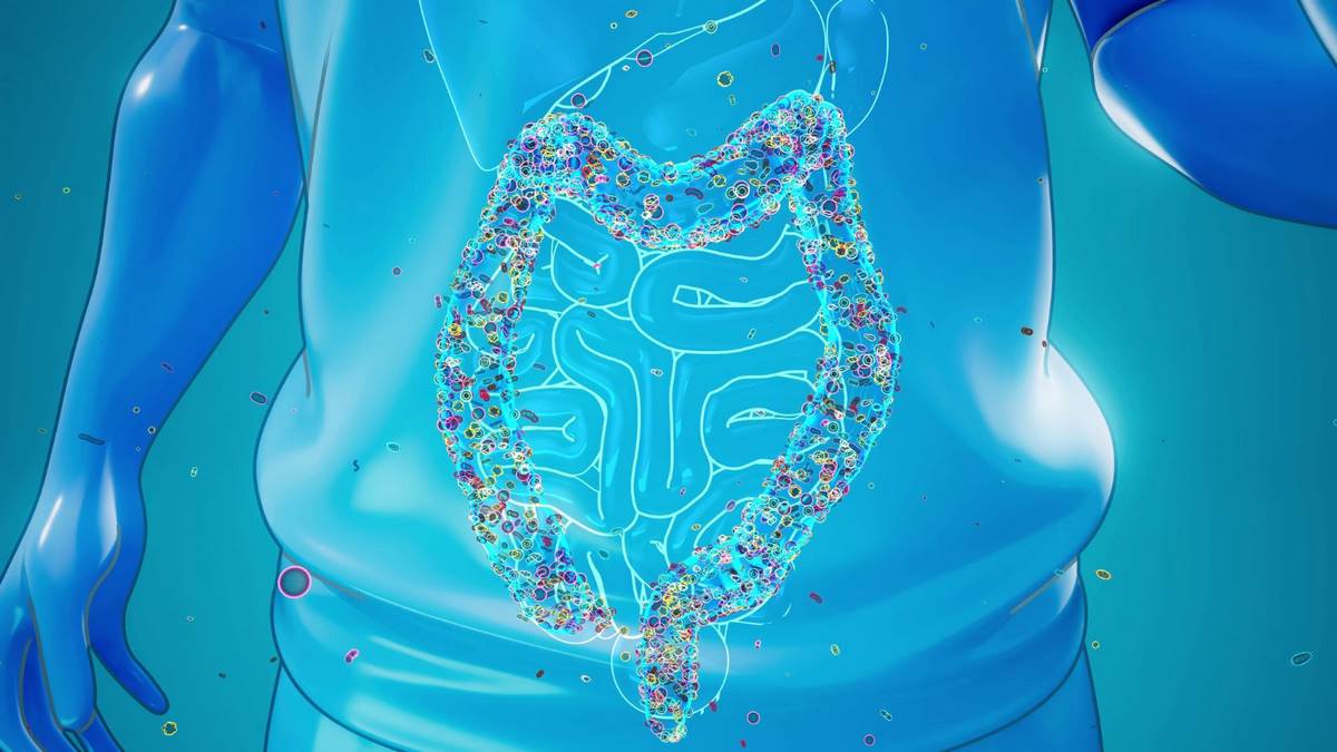 Ваш мікробіом синхронізується з мікробіомом тих, із ким ви живете