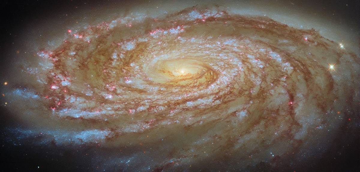 Hubble показав M88: галактику, яку скупчення Діви позбавляє газу